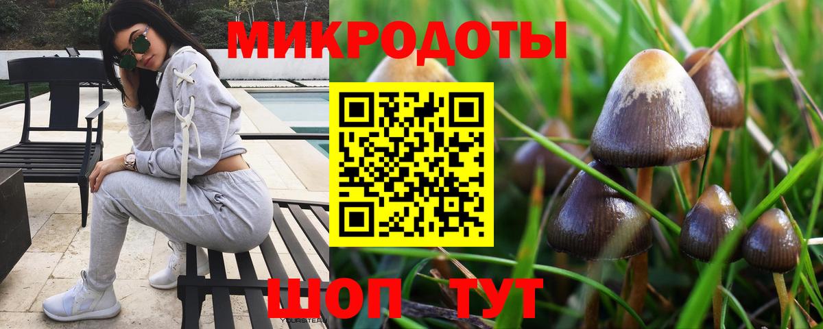Галлюциногенные грибы Magic Shrooms Щёлково